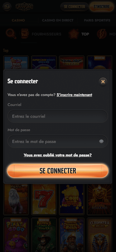 Capture d'écran de la version mobile 3