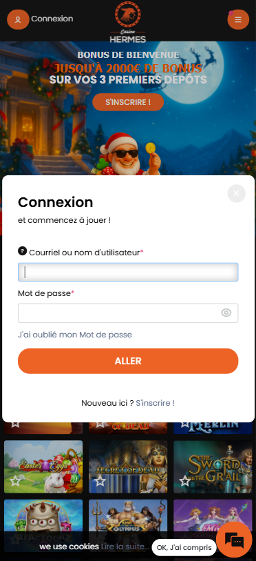 Capture d'écran de la version mobile 4