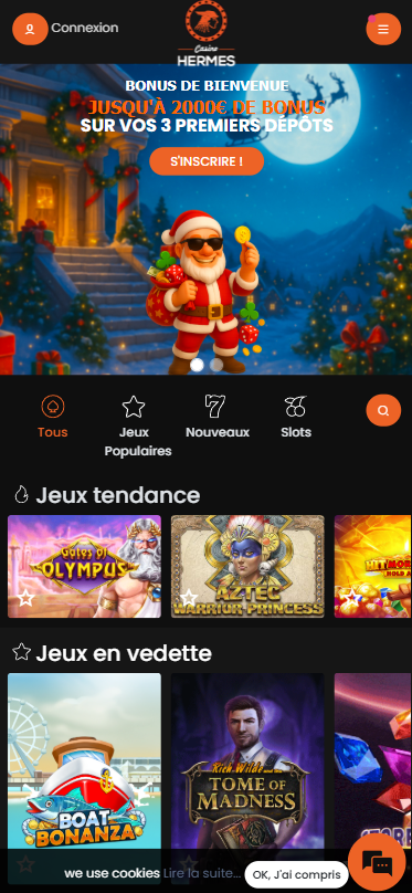 Capture d'écran de la version mobile 1