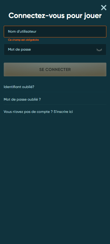 Capture d'écran de la version mobile 2