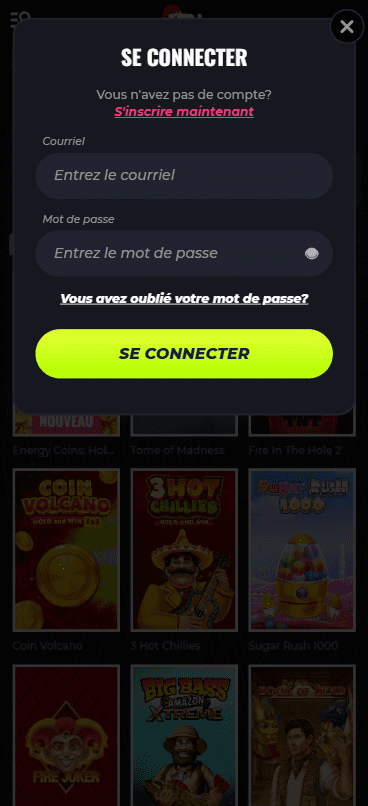 Capture d'écran de la version mobile 2