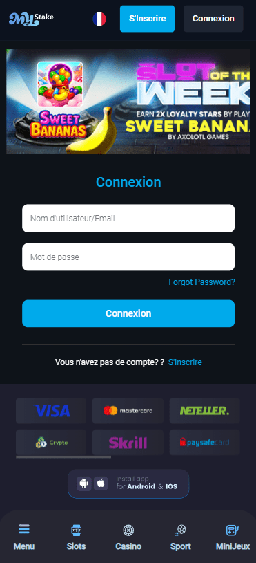 Capture d'écran de la version mobile 3