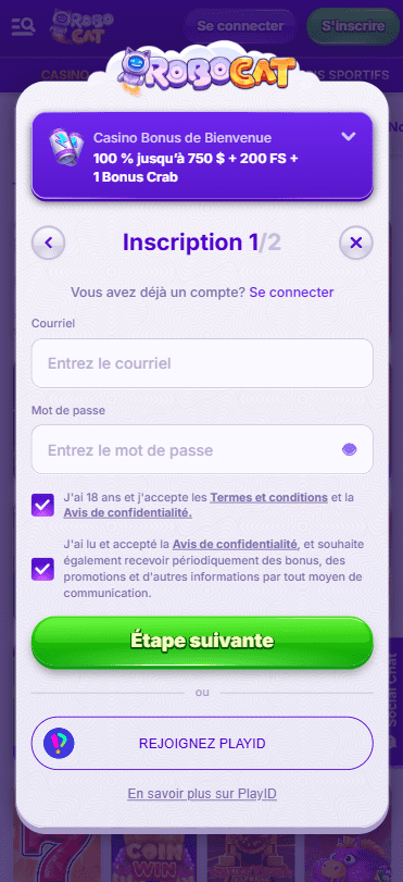Capture d'écran de la version mobile 4