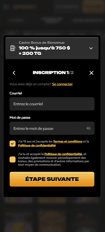 Capture d'écran de la version mobile 4