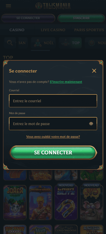 Capture d'écran de la version mobile 4